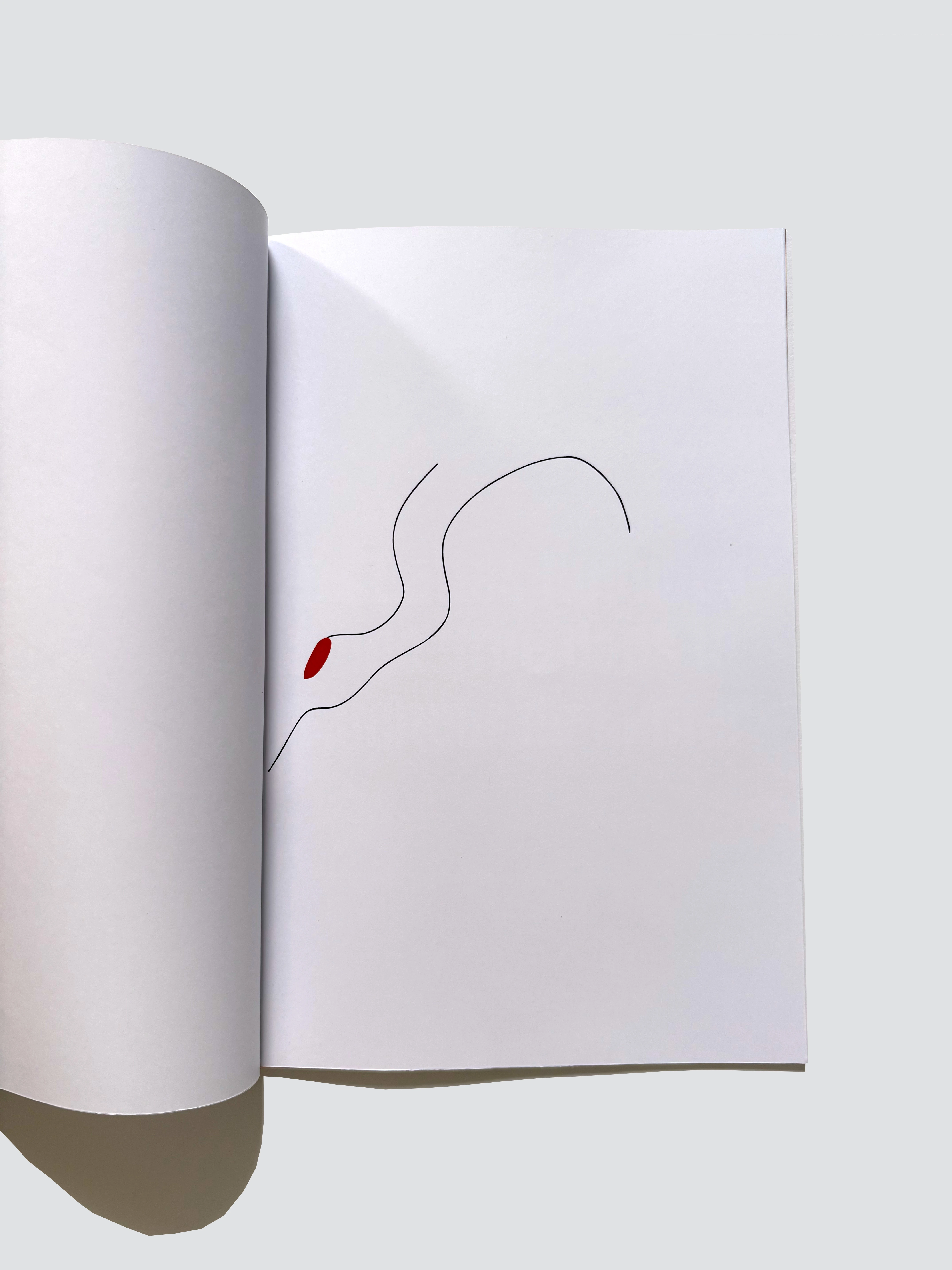 Dessin — variation